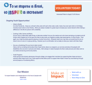 Youth Volunteer