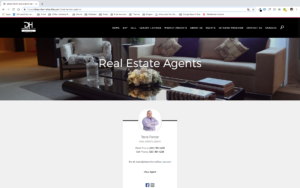 Dream Home Real Estate Agent 1