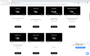 Tailored Muse Prices 2